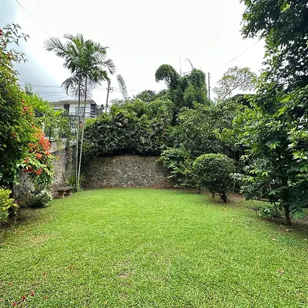 Rockydale Home Stay-3